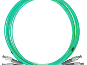 OM3 Fiber: 'n kradelige Assistent vir 'heeg- geargdedaten Transmissien